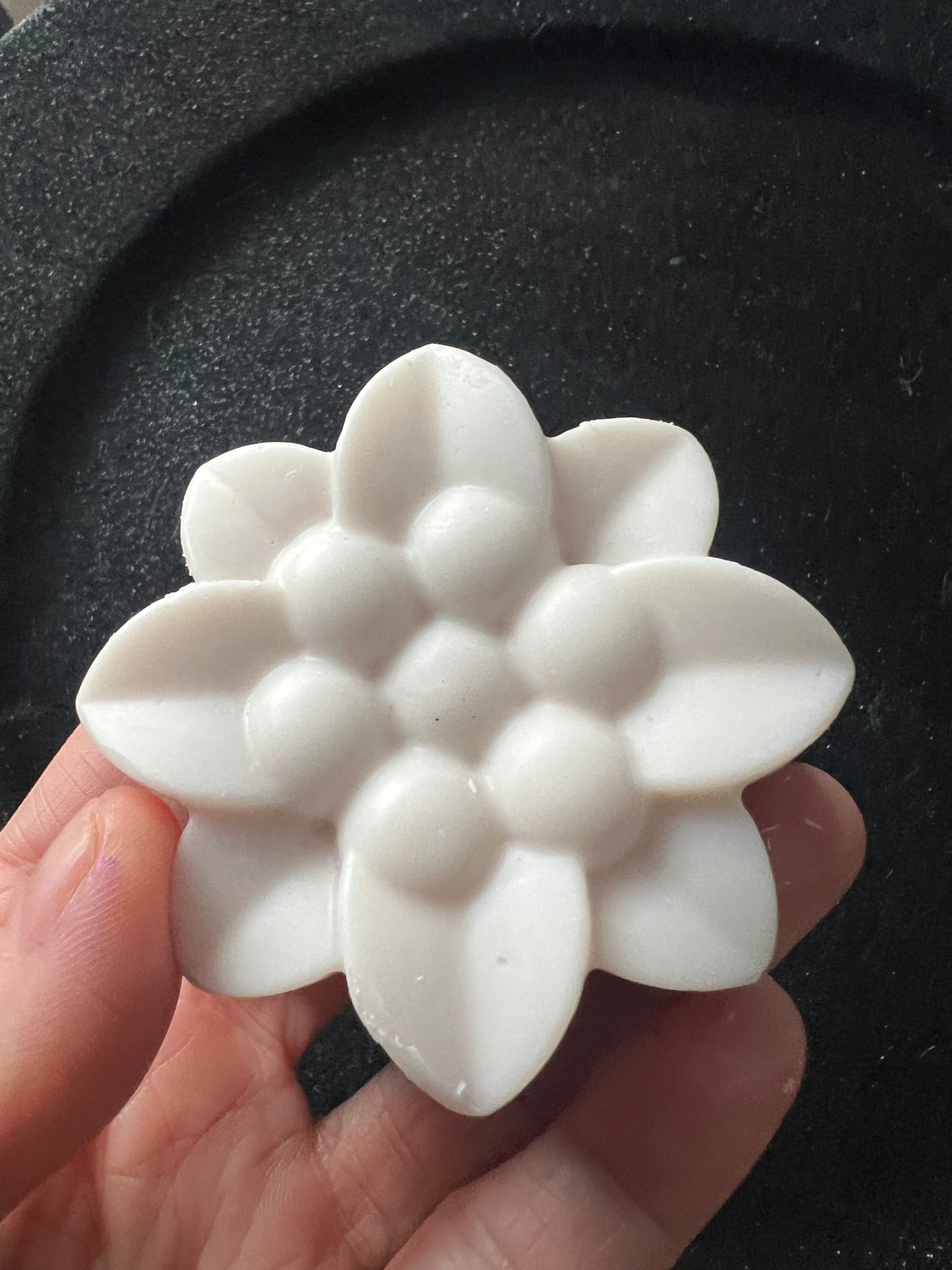 Shampoo and Conditioner